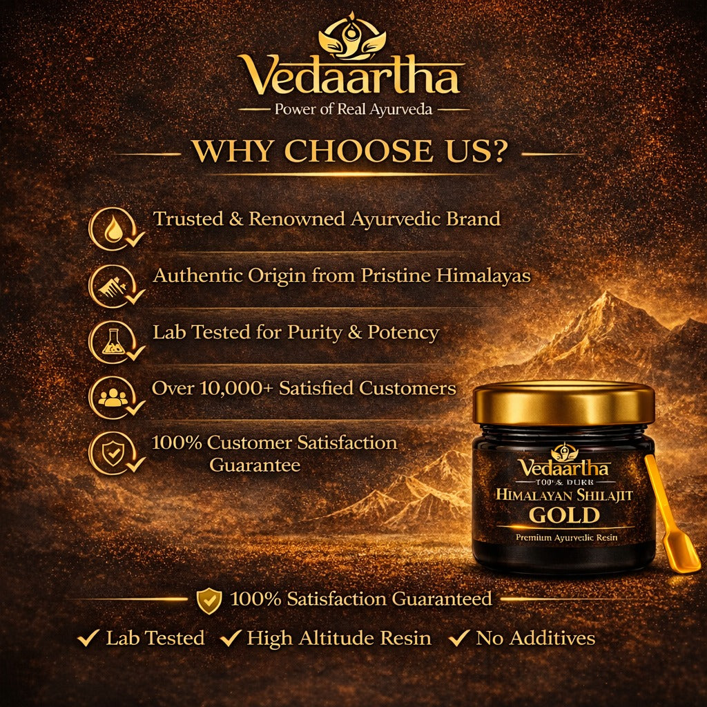 Vedaartha Shilajeet Gold | Premium Shilajit Blend for Energy & Vitality 20gm | BUY 1 GET 1 FREE |